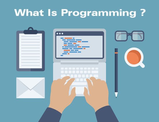[Infographic] What Is Programming And What Do Programmers Do?