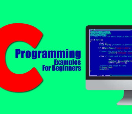 C Programming Examples for Beginner