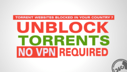 unblock-torrent-websites-without-using-any-vpn-service