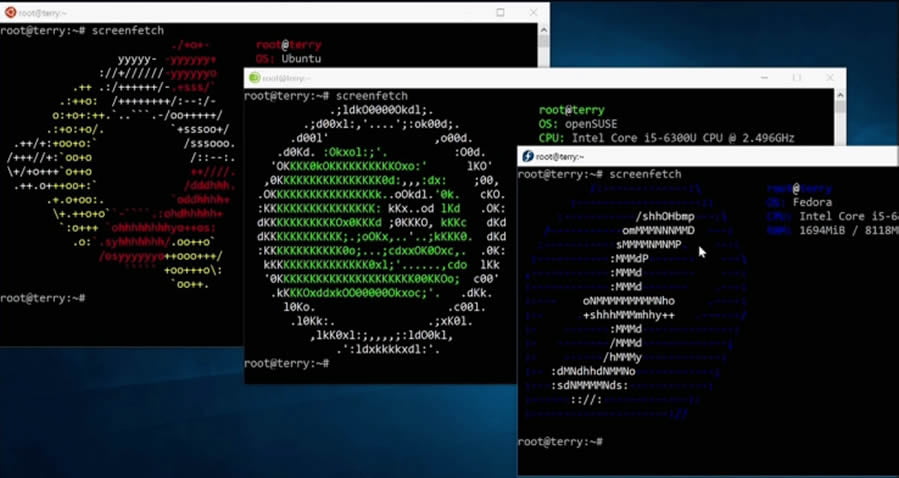 Microsoft To Offer Fedora, SUSE, and Ubuntu Linux To The Windows Store Microsoft To Offer Fedora, SUSE, and Ubuntu Linux To The Windows Store