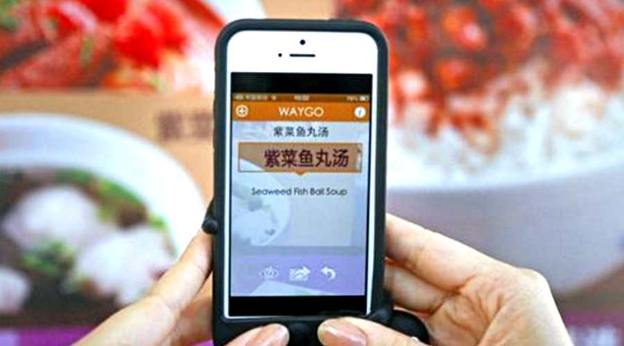 Waygo - Best translation apps for Android and iOS