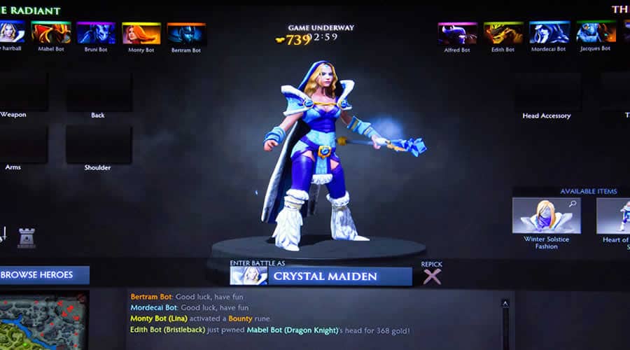 Professional Tournaments for DOTA 2