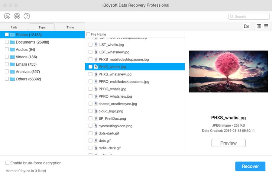 iboysoft data recovery for mac