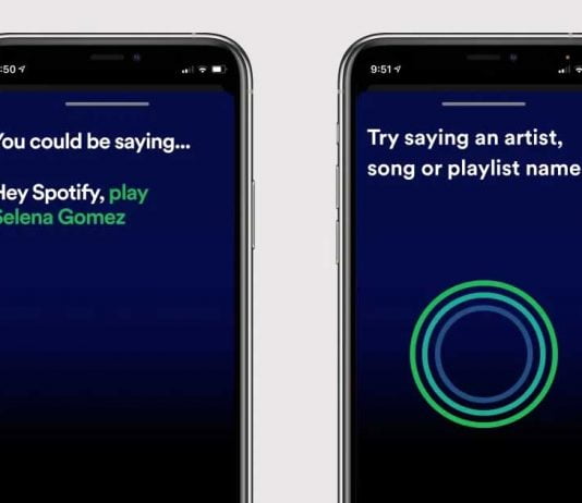 Spotify voice assistant