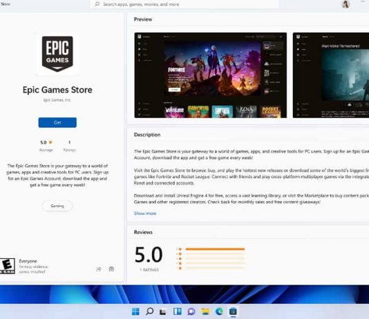 Epic Games Store on the Microsoft Store