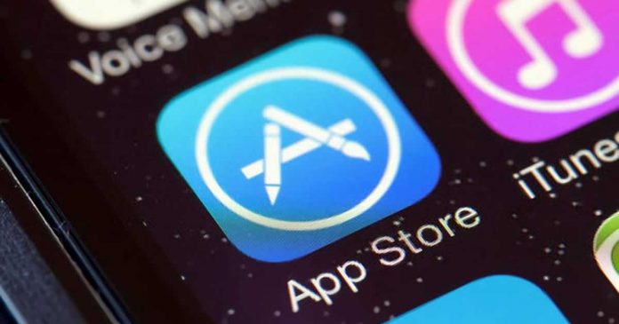 Apple Third-Party Payment Option in App store