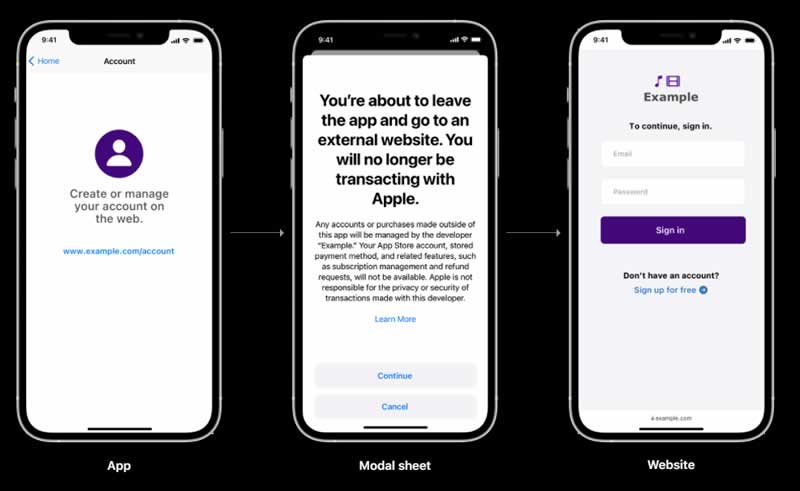 Apple Third-Party Payment Option in App store model