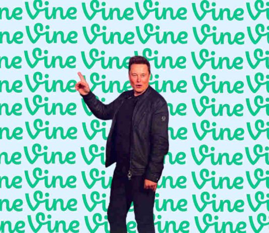 Musk Planning to Bring Back Vine