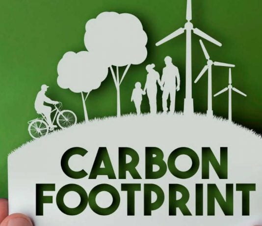 Carbon Footprint at Work