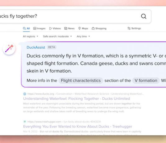 DuckDuckGo DuckAssist