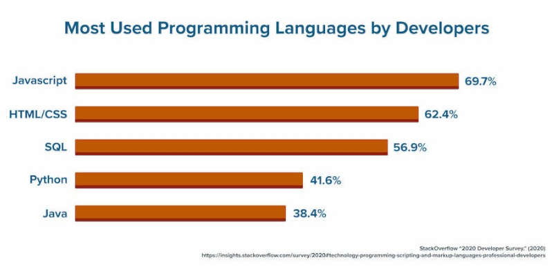 most widely used programming language